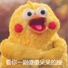 月鹤_民族幻想_陀螺