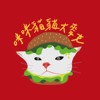 🍔咪咪猫猫大麦克🍔