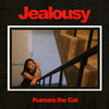 你的一切都让我嫉妒Jealousy（Demo）