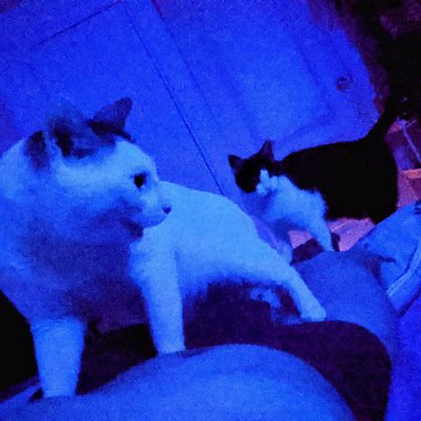 Netflix and Chill