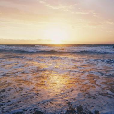 Ride the Waves