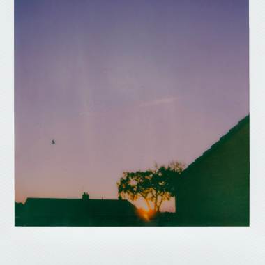 WANDER