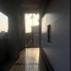 因为(demo)