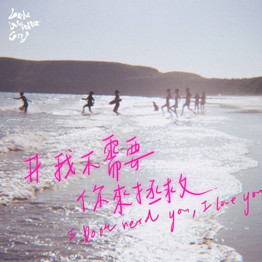 我不需要你来拯救 I don't need you, I love you.