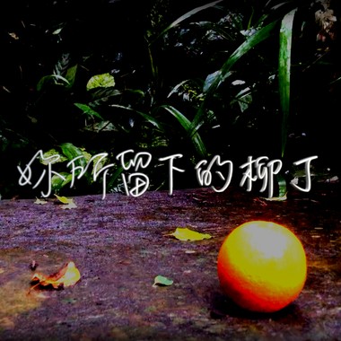 你所留下的柳丁 (Demo)