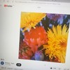 鲜花 - 回春丹