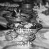 赞普>蔡金雪