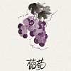 p13_直接食的美味宝石－鲜食葡萄