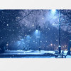 雪白之夜
