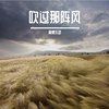吹过那阵风