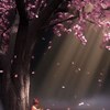 正美丽 MA v3