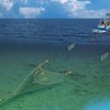 海底捞