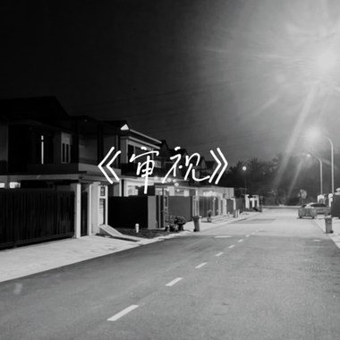 《审视》