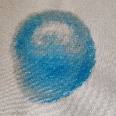 树树—花苞的果实