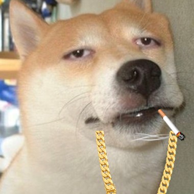 跟风的嘻哈迷