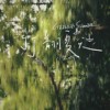 打翻夏天(Ft.大汪汪)