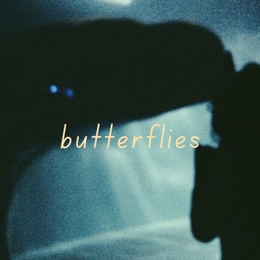 butterflies