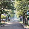 这条路上