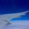Fly to the world/北区