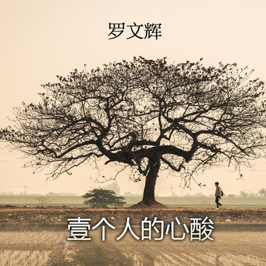 A person's heartache　壹个人的心酸