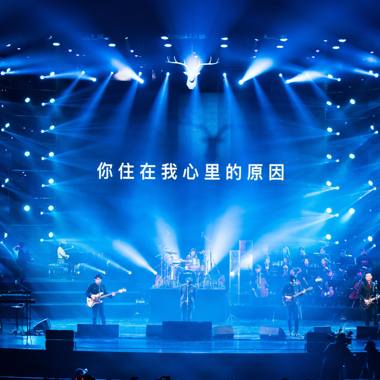 你住在我心里的原因