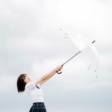 野子 (微风版)