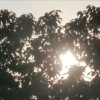 一起走吧 (demo)