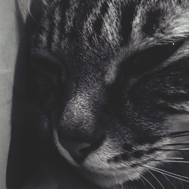 任性