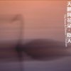 冰宫