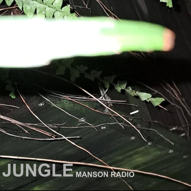 jungle