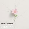 Bloom in the Cracks
