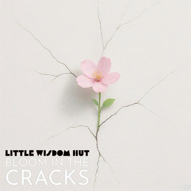Bloom in the Cracks