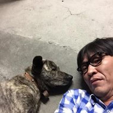 平凡的追求