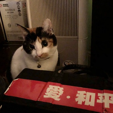 忘忧草