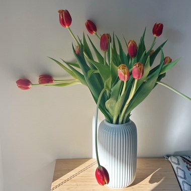 鲜花