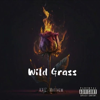野草（KA1Z X 雪飞Matthew）