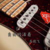 炫