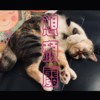 想颓废