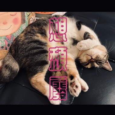 想颓废