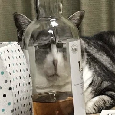 今晚的一杯酒
