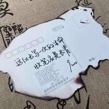 茶语柳岸