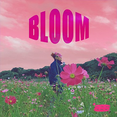 bloom
