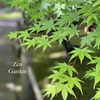 Zen Garden