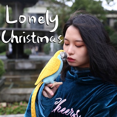 EP12 圣诞 | 献给鲁蛇的圣诞歌曲 | Lonely Christmas - Pan | Original by 床边故事 Midnight Story