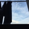 我以为爱情就是这样