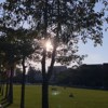 只要你还活著 （demo)