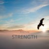 曙光 Strength