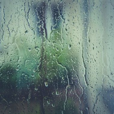 蓝雨