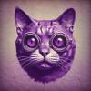 猫男