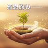感恩的心